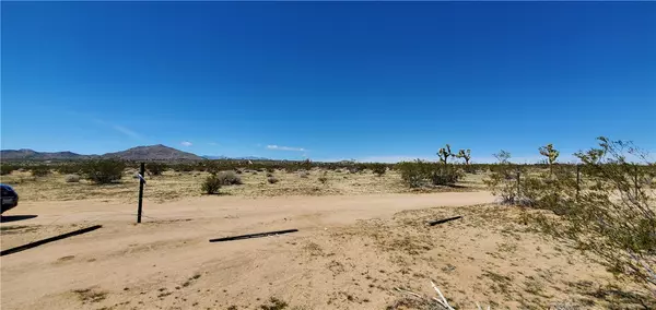 Joshua Tree, CA 92252,0 Center