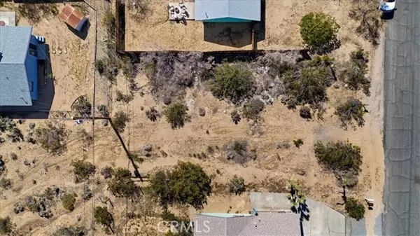 Joshua Tree, CA 92252,0 Oleander