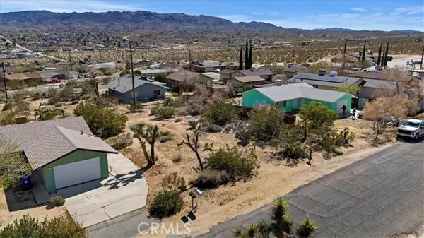 Joshua Tree, CA 92252,0 Oleander