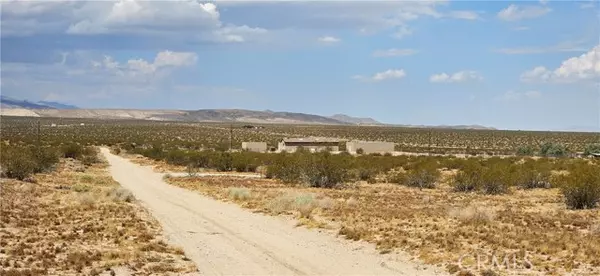 Johnson Valley, CA 92285,48355 Datura