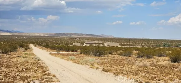 Johnson Valley, CA 92285,48355 Datura