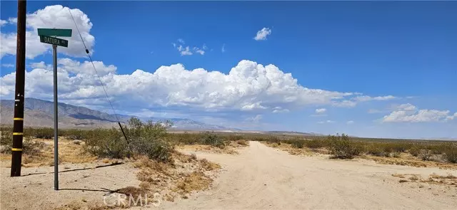 Johnson Valley, CA 92285,48355 Datura