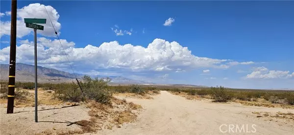 Johnson Valley, CA 92285,48355 Datura