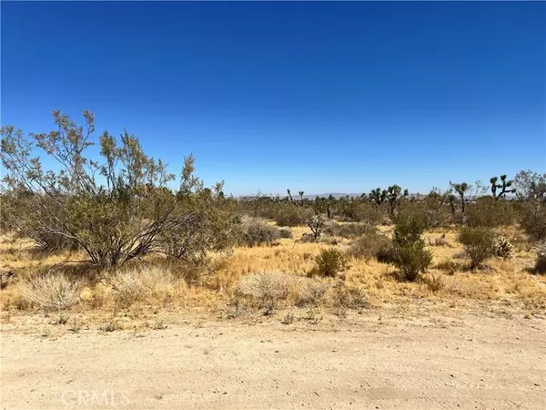 Pinon Hills, CA 92372,0 APN 3099-171-19-0000