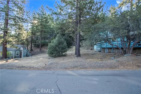 Wrightwood, CA 92397,0 E Canyon Dr