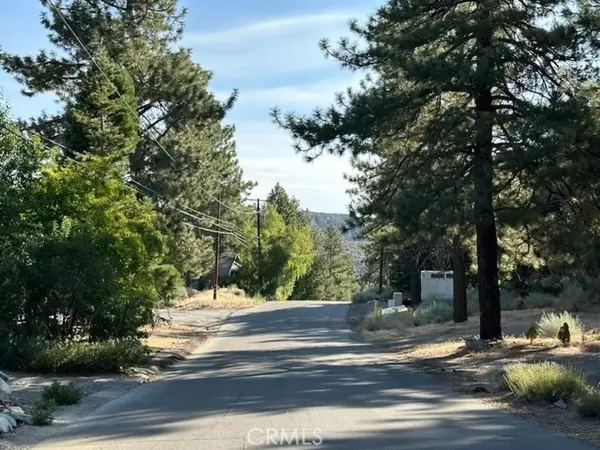 Wrightwood, CA 92397,0 E Canyon Dr