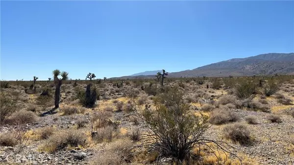 Lucerne Valley, CA 92356,0 Bauer Rd