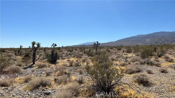 Lucerne Valley, CA 92356,0 Bauer Rd