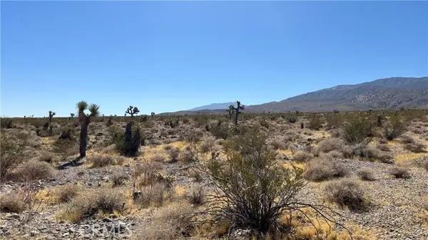 Lucerne Valley, CA 92356,0 Bauer Rd