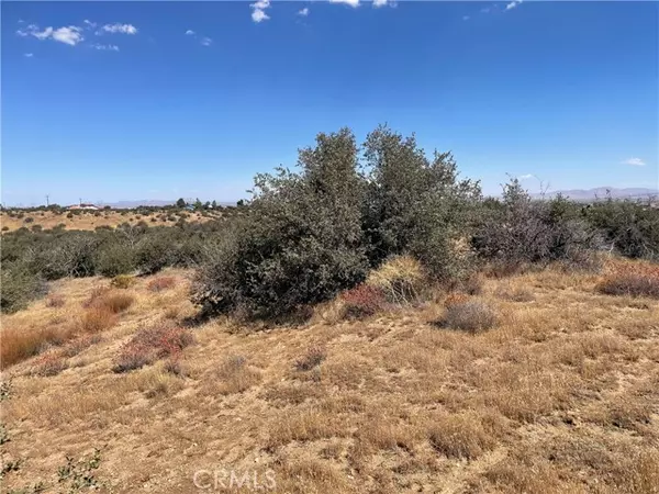 Phelan, CA 92371,0 Barbet