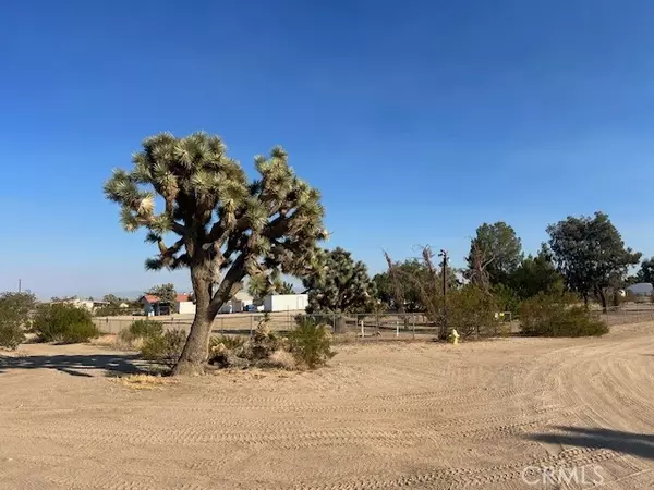 Phelan, CA 92371,5202 La Mesa