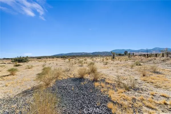 Llano, CA 93544,0 E Avenue Y-4