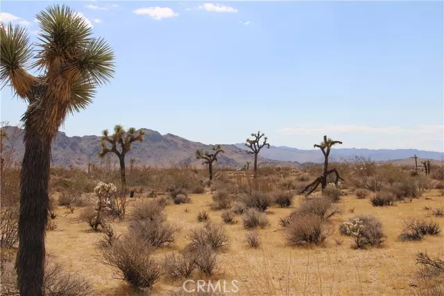 Joshua Tree, CA 92252,60337 Belfair