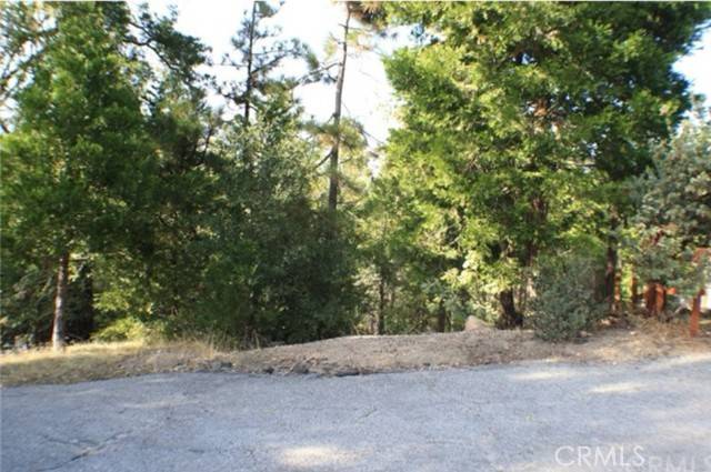 Lake Arrowhead, CA 92352,0 Grass Valley