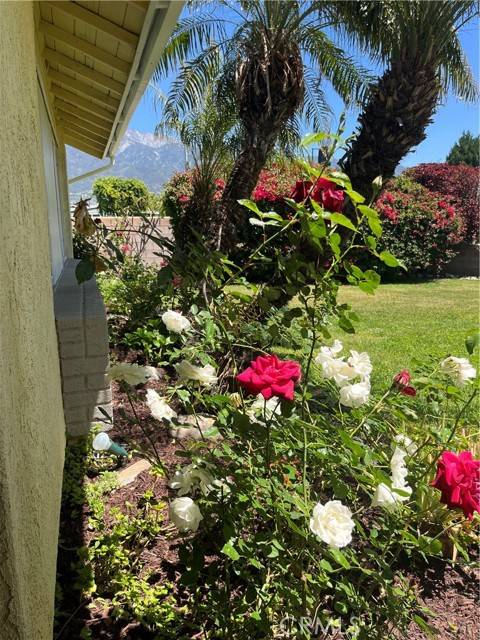 Rancho Cucamonga, CA 91730,7320 Ramona Avenue