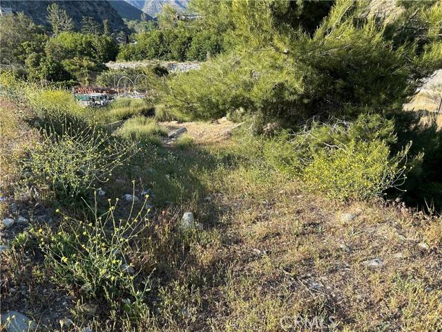 Lytle Creek, CA 92358,795 Melody