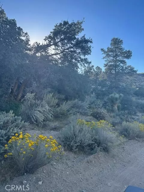 Pinon Hills, CA 92372,0 Deer Haven