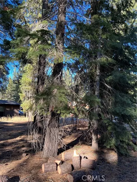 South Lake Tahoe, CA 96150,1124 Tata