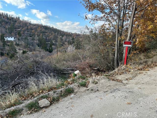 256 Jasper, Cedar Glen, CA 92321