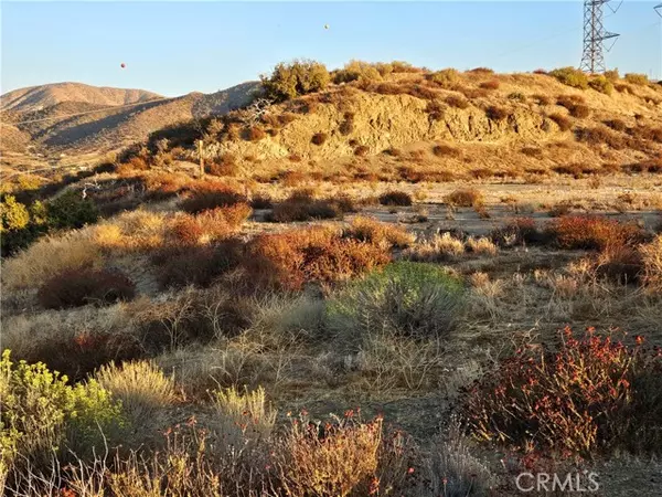 Palmdale, CA 93550,0 Angeles Forest