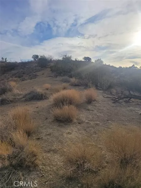 0 Vac/Ca Aqueduct/Pearblossom, Palmdale, CA 93550