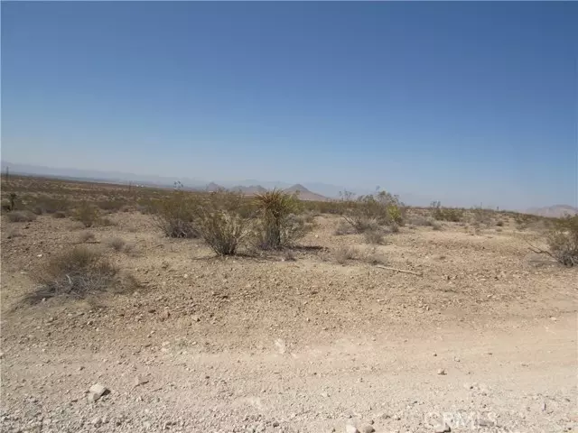 Apple Valley, CA 92307,0 Leaping Lizard