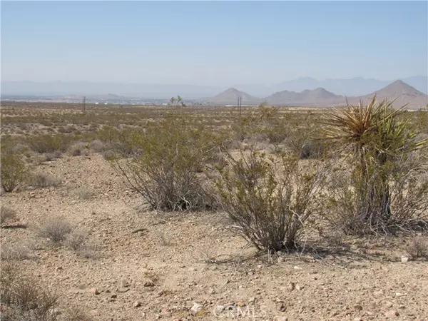 Apple Valley, CA 92307,0 Leaping Lizard