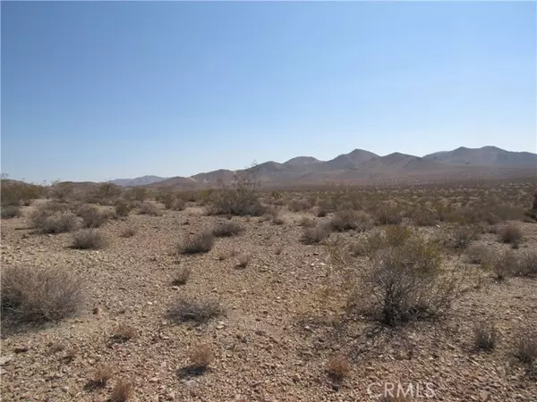 Apple Valley, CA 92307,0 Leaping Lizard