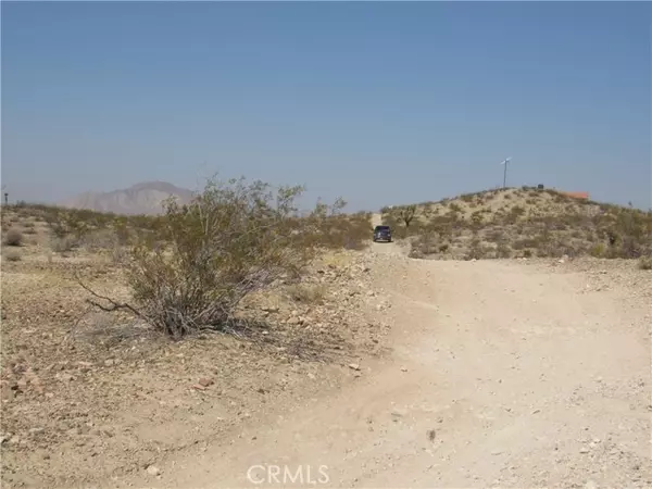 Apple Valley, CA 92307,0 Leaping Lizard