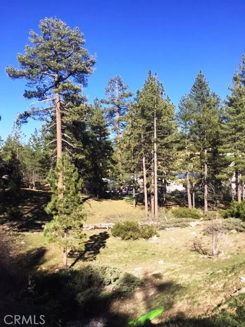 Big Bear, CA 92315,0 Talmadge