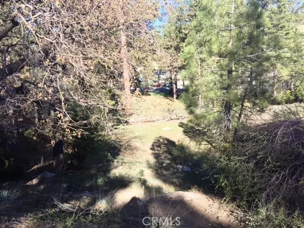 Big Bear, CA 92315,0 Talmadge