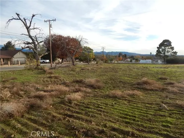 Cherry Valley, CA 92223,10165 Winesap