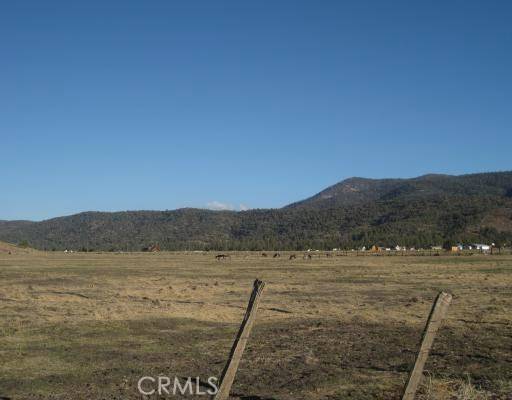 2151 Erwin Ranch, Big Bear, CA 92314