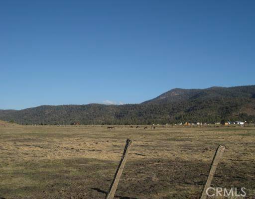 2151 Erwin Ranch, Big Bear, CA 92314