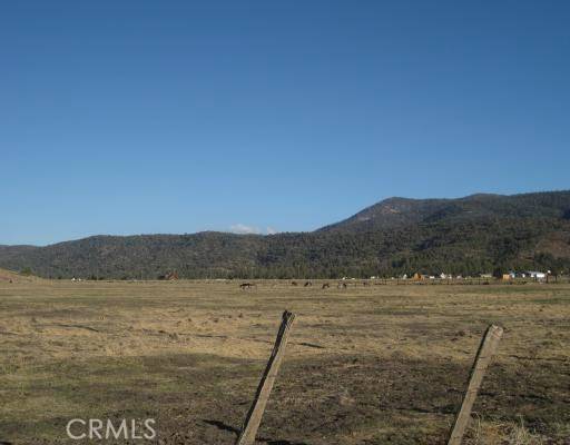 2151 Erwin Ranch, Big Bear, CA 92314