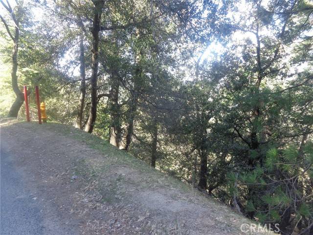 72 Chillon, Crestline, CA 92325