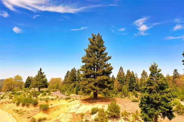 Lake Arrowhead, CA 92352,136 Mill Pond