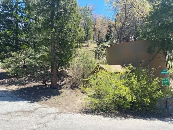 0 Lovers lane, Lake Arrowhead, CA 92352