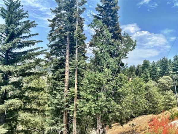 2361 Deep Creek, Running Springs, CA 92382