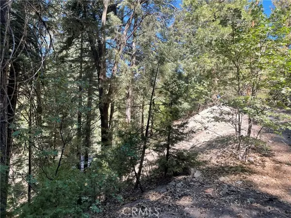 Lake Arrowhead, CA 92352,0 Brentwood