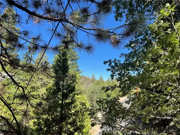 Lake Arrowhead, CA 92352,0 Brentwood