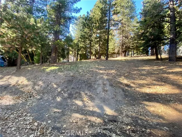 0 Wilderness, Running Springs, CA 92382