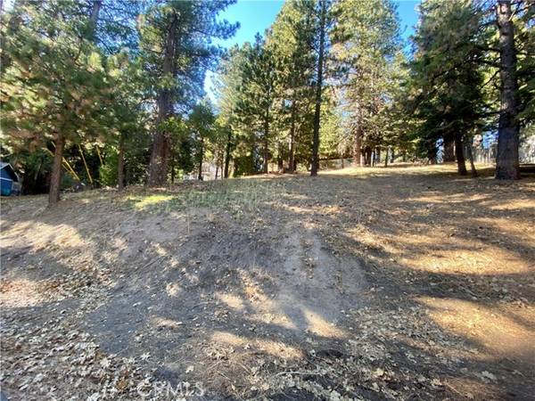 0 Wilderness, Running Springs, CA 92382