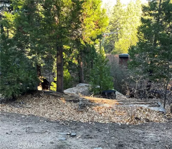 Lake Arrowhead, CA 92352,0 E Lane