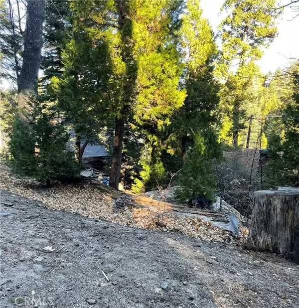 Lake Arrowhead, CA 92352,0 E Lane