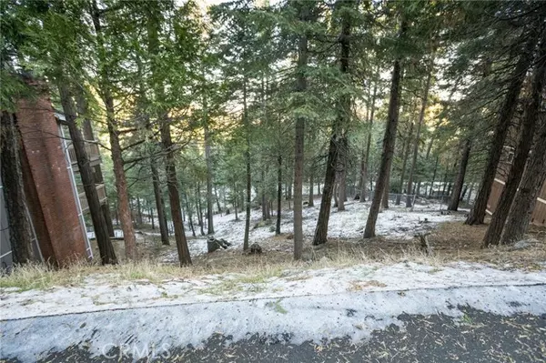 Crestline, CA 92325,0 Bernard