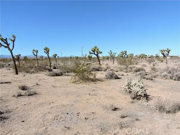 Yucca Valley, CA 92284,4482 Anita