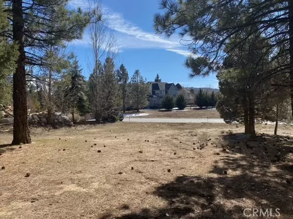 Big Bear Lake, CA 92315,0 Meadow