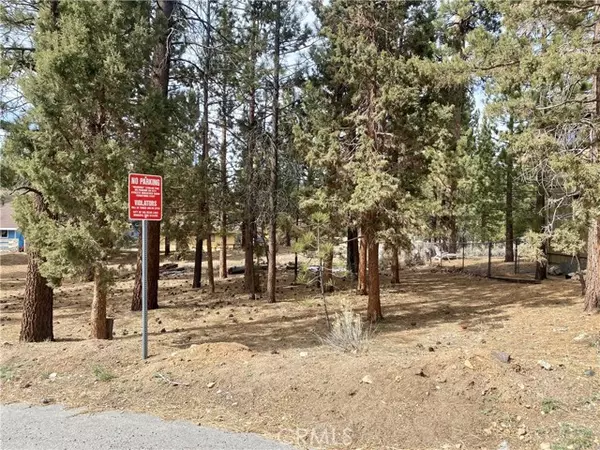 Big Bear Lake, CA 92315,41500 Swan