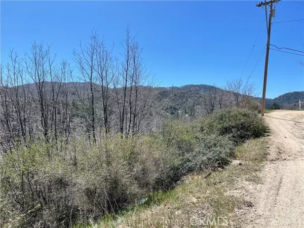 Cedar Glen, CA 92352,729 Cypress